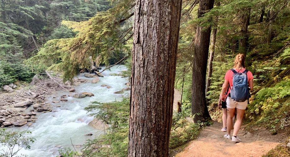 28 38 Canada 103 28 38 Canada 103